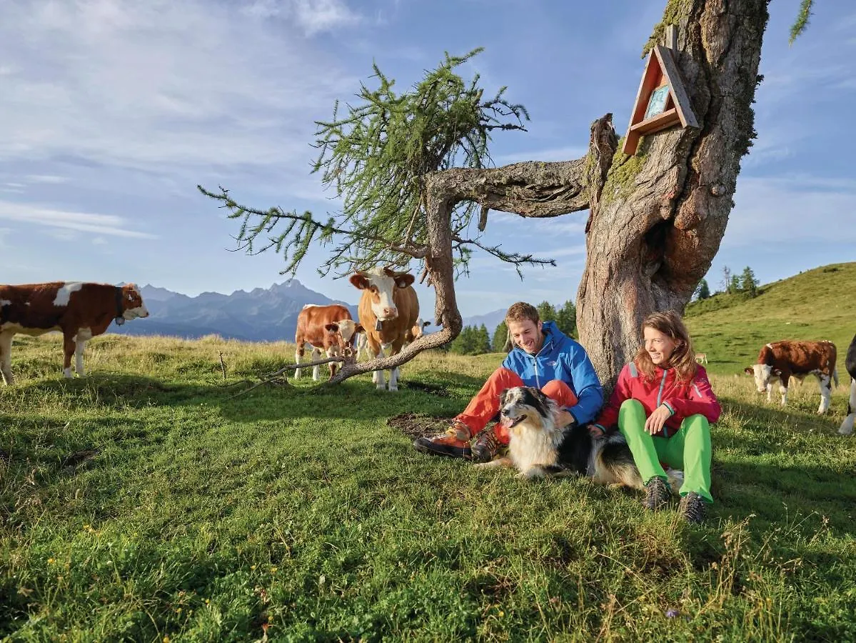 Appartement Hidden Gem In Central Innsbruck With Free Parking